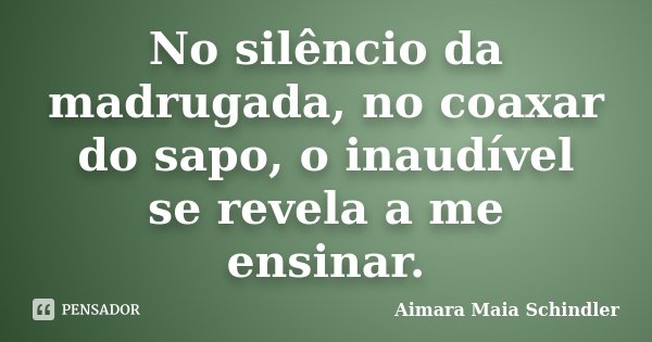 No silêncio da madrugada, no coaxar do sapo, o inaudível se revela a me ensinar.... Frase de Aimara Maia Schindler.
