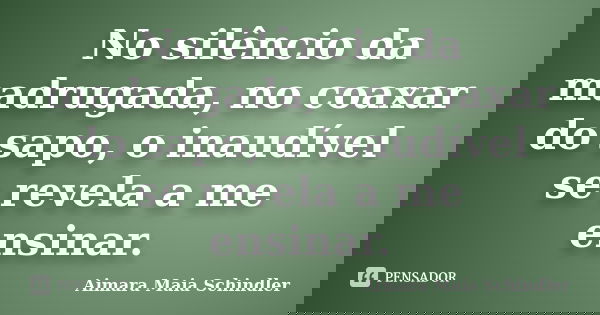 No silêncio da madrugada, no coaxar do sapo, o inaudível se revela a me ensinar.... Frase de Aimara Maia Schindler.