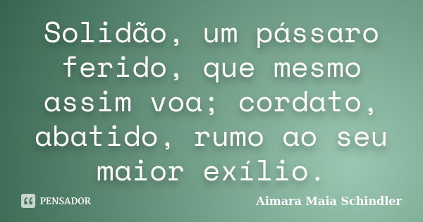 Solidão, um pássaro ferido, que mesmo assim voa; cordato, abatido, rumo ao seu maior exílio.... Frase de Aimara Maia Schindler.