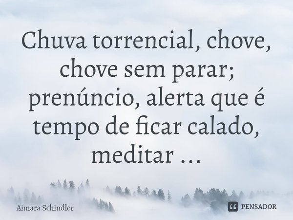 Chuva torrencial, chove, chove sem parar; prenúncio, alerta que é tempo de ficar calado, meditar ...⁠... Frase de Aimara Schindler.