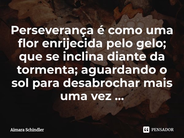 Perseverança é como uma flor enrijecida pelo gelo; que se inclina diante da tormenta; aguardando o sol para desabrochar mais uma vez ...⁠... Frase de Aimara Schindler.