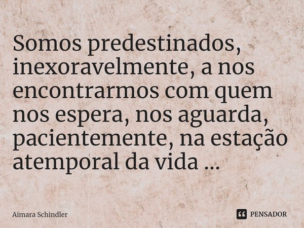 ⁠Somos predestinados, inexoravelmente, a nos encontrarmos com quem nos espera, nos aguarda, pacientemente, na estação atemporal da vida ...... Frase de Aimara Schindler.