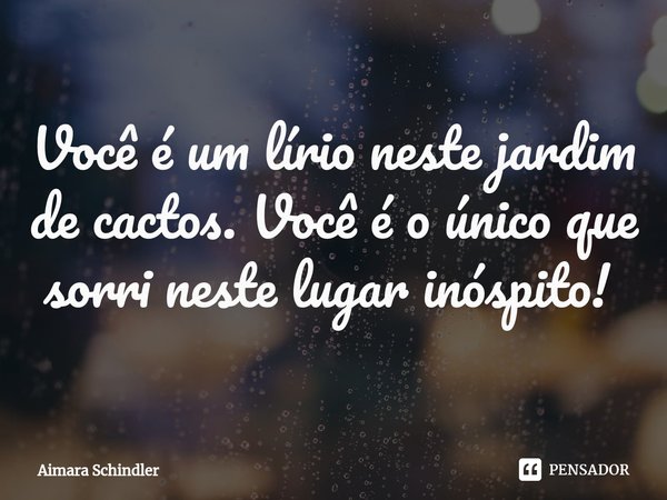 Você é um lírio neste jardim de cactos. Você é o único que sorri neste lugar inóspito! ⁠... Frase de Aimara Schindler.