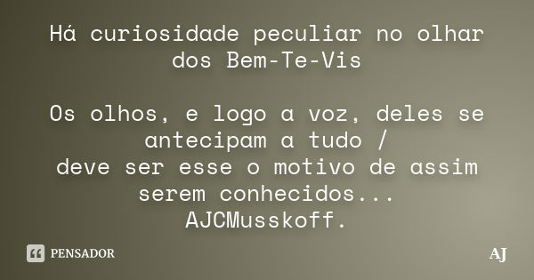 Há curiosidade peculiar no olhar dos Bem-Te-Vis / Os olhos, e logo a voz, deles se antecipam a tudo / deve ser esse o motivo de assim serem conhecidos... AJCMus... Frase de AJ.