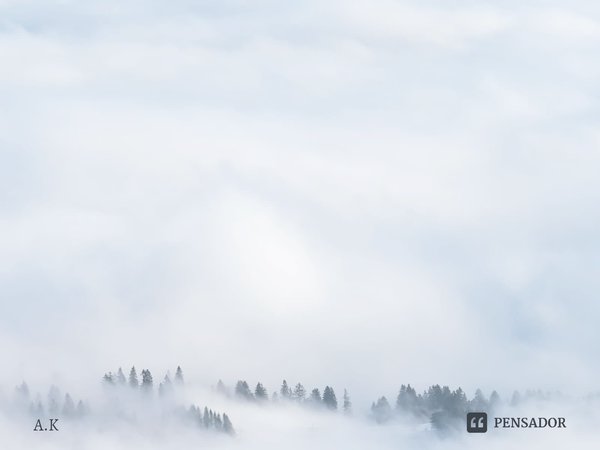 Ruas e vidas ocupadas. Tudo que sabemos é viver rápido. Estamos sozinhos, com nossas mentes em transformação. Nos apaixonamos até que doa, sangre ou passe com t... Frase de A.K.