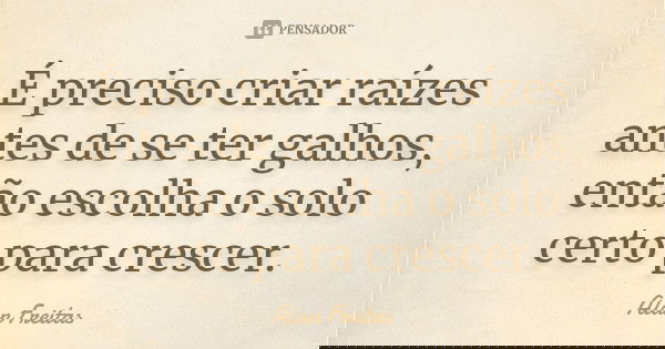 É preciso criar raízes antes de se ter galhos, então escolha o solo certo para crescer.... Frase de Alan Freitas.