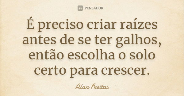 É preciso criar raízes antes de se ter galhos, então escolha o solo certo para crescer.... Frase de Alan Freitas.