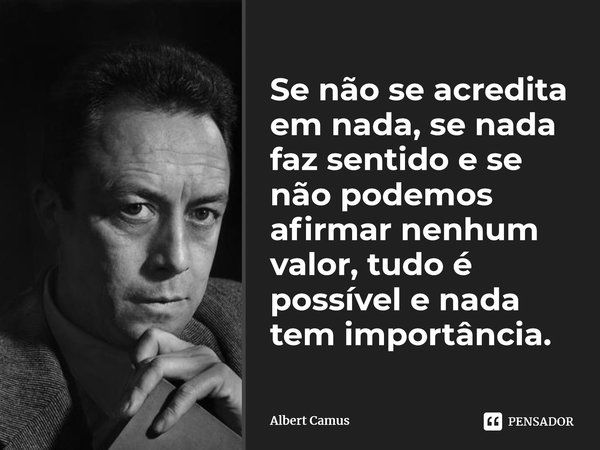 ⁠Se não se acredita em nada, se nada faz sentido e se não podemos afirmar nenhum valor, tudo é possível e nada tem importância.... Frase de Albert Camus.