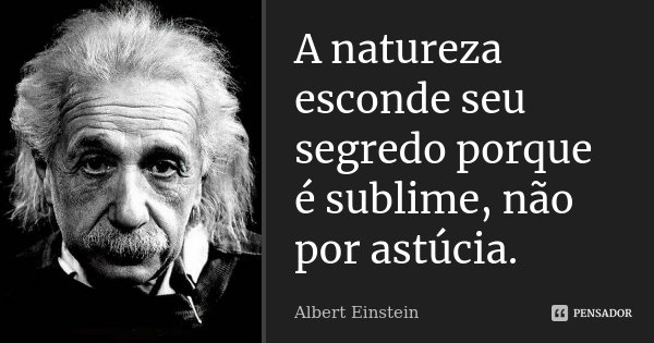 A natureza esconde seu segredo porque é sublime, não por astúcia.... Frase de Albert Einstein.