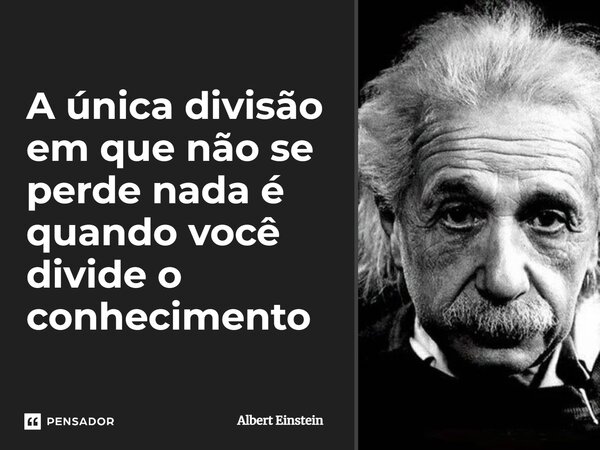 A única divisão em que não se perde nada é quando você divide o conhecimento... Frase de Albert Einstein.