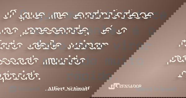 O que me entristece no presente, é o fato dele virar passado muito rápido.... Frase de Albert Schmidt.