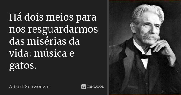 Há dois meios para nos resguardarmos das misérias da vida: música e gatos.... Frase de Albert Schweitzer.