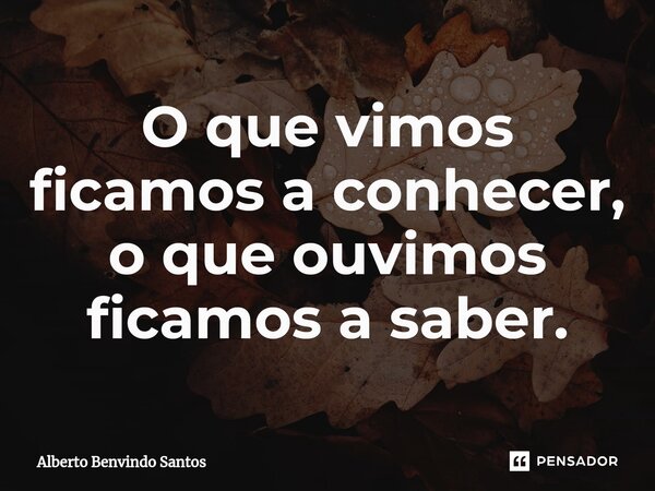 ⁠O que vimos ficamos a conhecer, o que ouvimos ficamos a saber.... Frase de ALBERTO BENVINDO SANTOS.