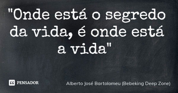 "Onde está o segredo da vida, é onde está a vida"... Frase de Alberto José Bartolomeu (Bebeking Deep Zone).