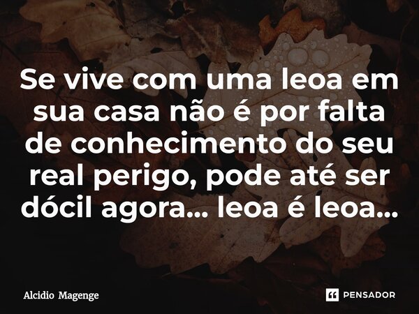 ⁠Se vive com uma leoa em sua casa não é por falta de conhecimento do seu real perigo, pode até ser dócil agora... leoa é leoa...... Frase de Alcidio Magenge.