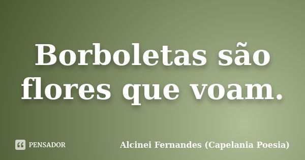 Borboletas são flores que voam.... Frase de Alcinei Fernandes (Capelania Poesia).