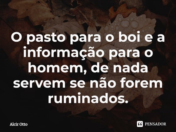 ⁠O pasto para o boi e a informação para o homem, de nada servem se não forem ruminados.... Frase de Alcir Otto.