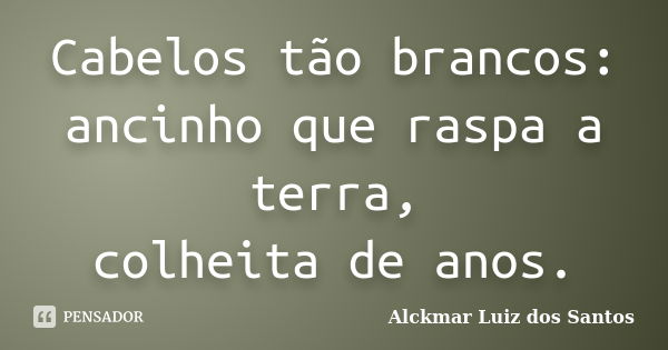 Cabelos tão brancos:
ancinho que raspa a terra,
colheita de anos.... Frase de Alckmar Luiz dos Santos.