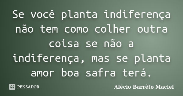 Se você planta indiferença não tem como colher outra coisa se não a indiferença, mas se planta amor boa safra terá.... Frase de Alécio Barrêto Maciel.