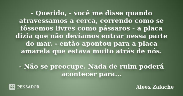 - Querido, - você me disse quando atravessamos a cerca, correndo como se fôssemos livres como pássaros - a placa dizia que não devíamos entrar nessa parte do ma... Frase de Aleex Zalache.