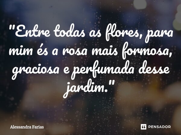 "Entre todas as flores, para mim és a rosa mais formosa, graciosa e perfumada desse jardim."... Frase de Alessandra Farias.