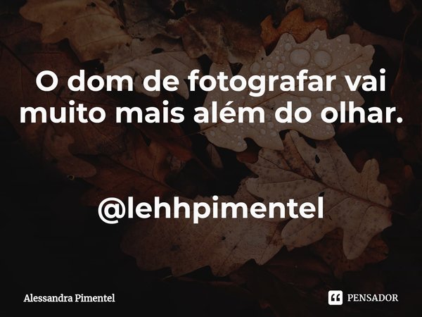 ⁠O dom de fotografar vai muito mais além do olhar. @lehhpimentel... Frase de Alessandra Pimentel.