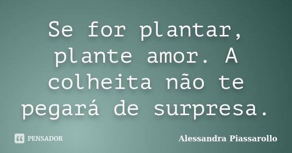 Se for plantar, plante amor. A colheita não te pegará de surpresa.... Frase de Alessandra Piassarollo.
