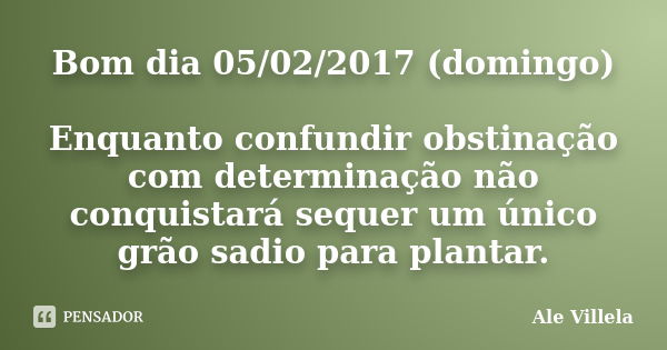 Bom dia 05/02/2017 (domingo) Enquanto confundir obstinação com determinação não conquistará sequer um único grão sadio para plantar.... Frase de ALE VILLELA.