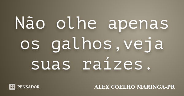 Não olhe apenas os galhos,veja suas raízes.... Frase de ALEX COELHO MARINGA-PR.