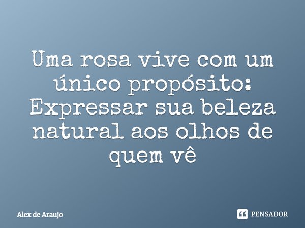 Uma rosa vive com um único propósito: Expressar sua beleza natural aos olhos de quem vê.... Frase de Alex de Araujo.