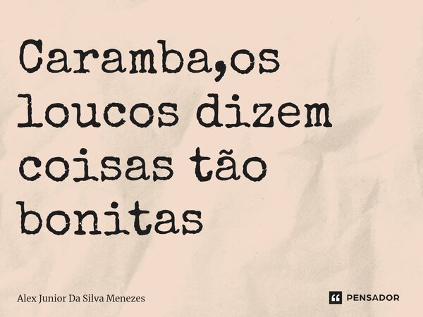 Caramba,os loucos dizem coisas tão bonitas ⁠... Frase de Alex Junior da Silva Menezes.