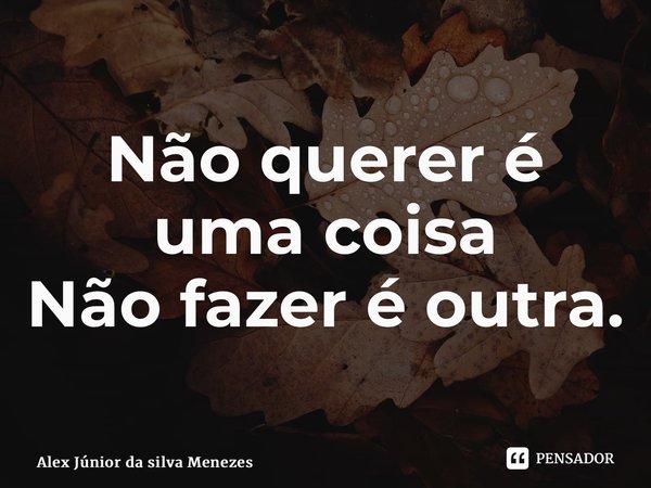 ⁠Não querer é uma coisa Não fazer é outra.... Frase de Alex Junior da Silva Menezes.