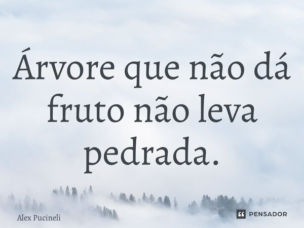 ⁠Árvore que não dá fruto não leva pedrada.... Frase de Alex Pucineli.
