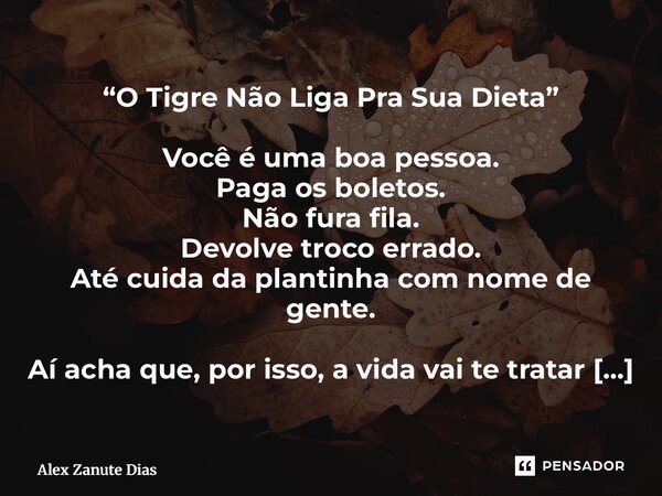⁠“O Tigre Não Liga Pra Sua Dieta” Você é uma boa pessoa. Paga os boletos. Não fura fila. Devolve troco errado. Até cuida da plantinha com nome de gente. Aí acha... Frase de Alex Zanute Dias.
