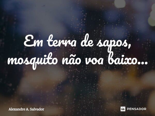 ⁠Em terra de sapos, mosquito não voa baixo...... Frase de Alexandre A. Salvador.