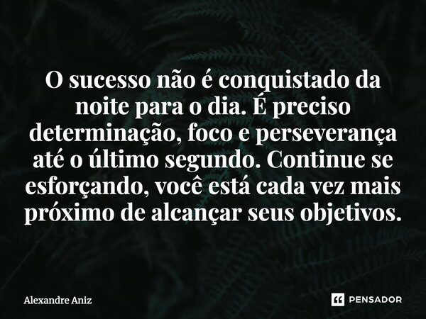 ⁠O sucesso não é conquistado da noite para o dia. É preciso determinação, foco e perseverança até o último segundo. Continue se esforçando, você está cada vez m... Frase de Alexandre Aniz.