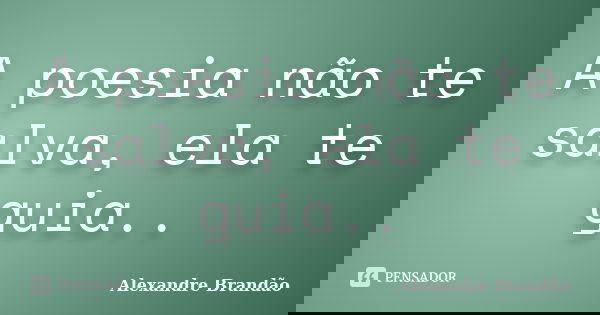 A poesia não te salva, ela te guia..... Frase de Alexandre Brandão.