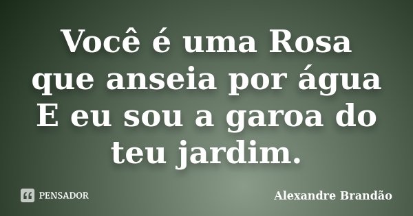 Você é uma Rosa que anseia por água E eu sou a garoa do teu jardim.... Frase de Alexandre Brandão.