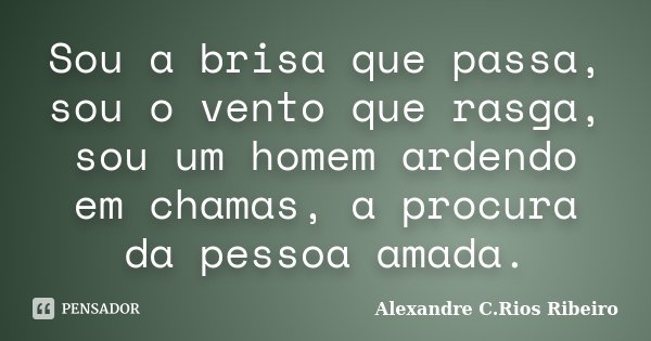 Sou a brisa que passa, sou o vento que rasga, sou um homem ardendo em chamas, a procura da pessoa amada.... Frase de Alexandre C.Rios Ribeiro.