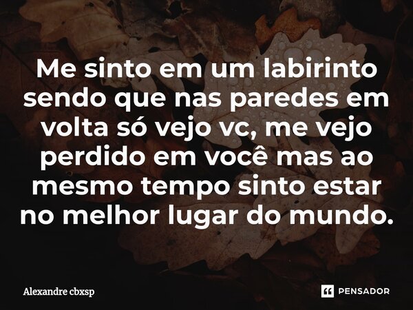 ⁠Me sinto em um labirinto sendo que nas paredes em volta só vejo vc, me vejo perdido em você mas ao mesmo tempo sinto estar no melhor lugar do mundo.... Frase de Alexandre cbxsp.