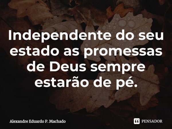 ⁠Independente do seu estado as promessas de Deus sempre estarão de pé.... Frase de Alexandre Eduardo P. Machado.