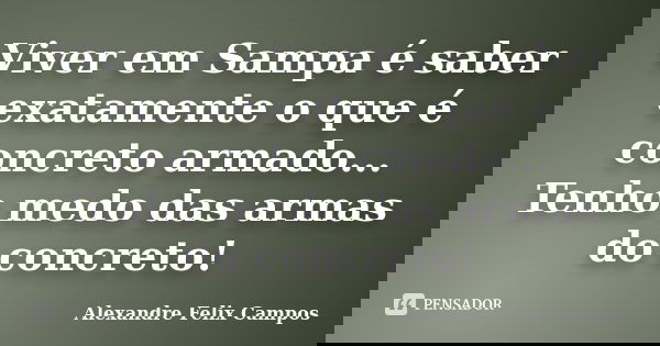 Viver em Sampa é saber exatamente o que é concreto armado... Tenho medo das armas do concreto!... Frase de Alexandre felix Campos.
