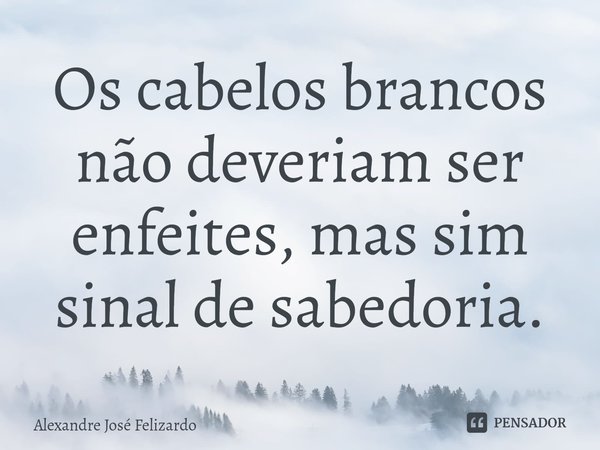 ⁠Os cabelos brancos não deveriam ser enfeites, mas sim sinal de sabedoria.... Frase de Alexandre José Felizardo.