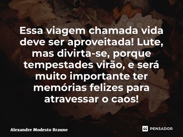 ⁠Essa viagem chamada vida deve ser aproveitada! Lute, mas divirta-se, porque tempestades virão, e será muito importante ter memórias felizes para atravessar o c... Frase de Alexandre Modesto Braune.