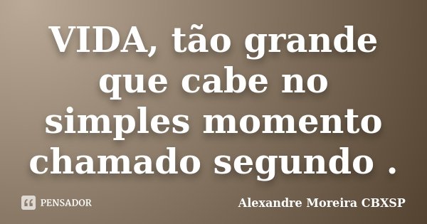 VIDA, tão grande que cabe no simples momento chamado segundo .... Frase de Alexandre Moreira CBXSP.