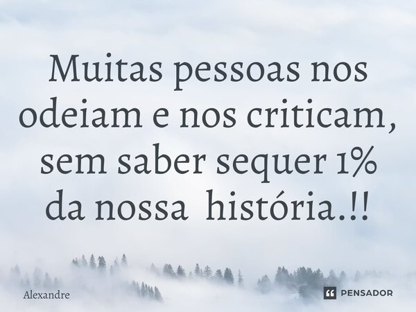 ⁠Muitas pessoas nos odeiam e nos criticam, sem saber sequer 1% da nossa história.!!... Frase de Alexandre.