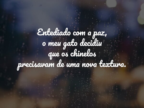 Entediado com a paz, o meu gato decidiu que os chinelos precisavam de uma nova textura.... Frase de Alexandre Santos.