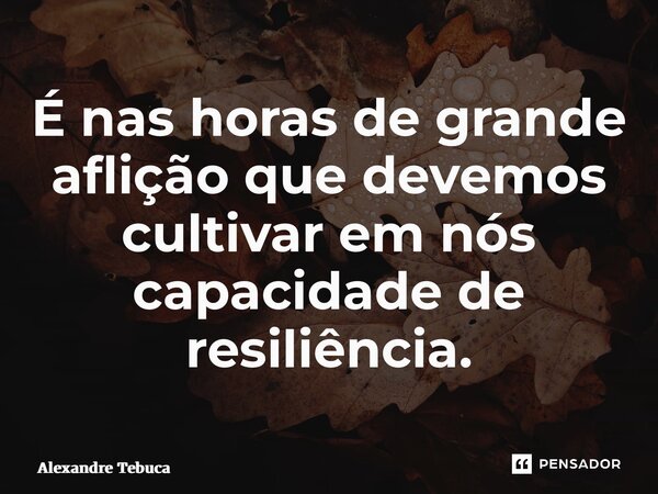 ⁠É nas horas de grande aflição que devemos cultivar em nós capacidade de resiliência.... Frase de Alexandre Tébuca.