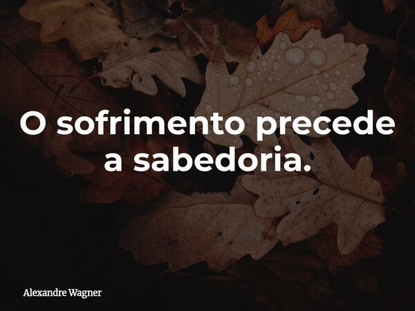O sofrimento precede a sabedoria.... Frase de Alexandre Wagner.