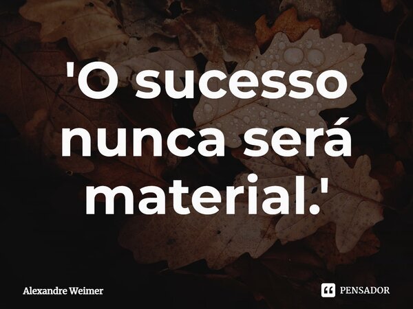 '⁠O sucesso nunca será material.'... Frase de Alexandre Weimer.
